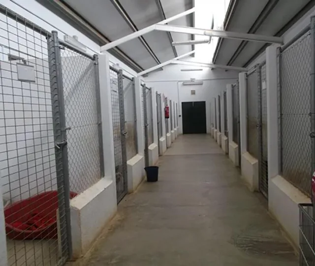 Neue Winterzwinger für das Tierheim bei Bacău – Symbolfoto (Demo)