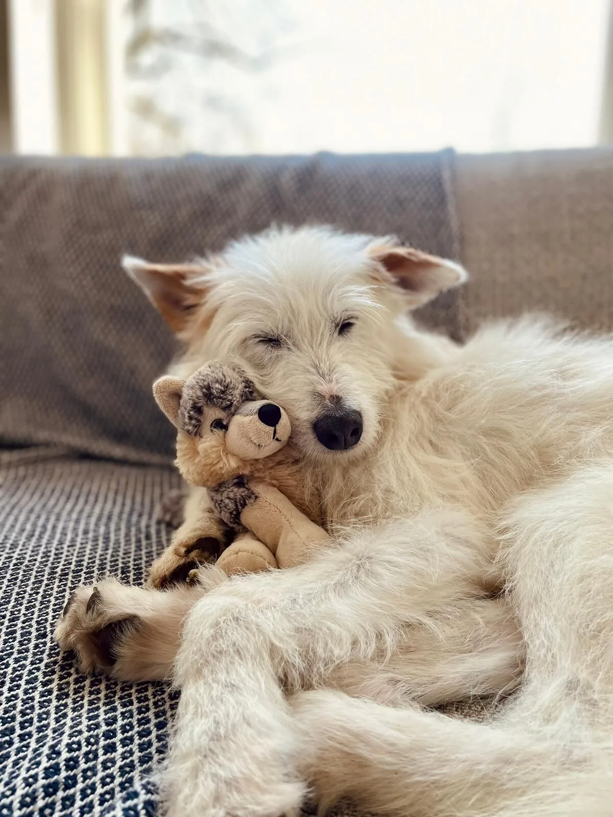 Hazel: Späte Liebe für eine Seniorin – Symbolfoto (Demo)
