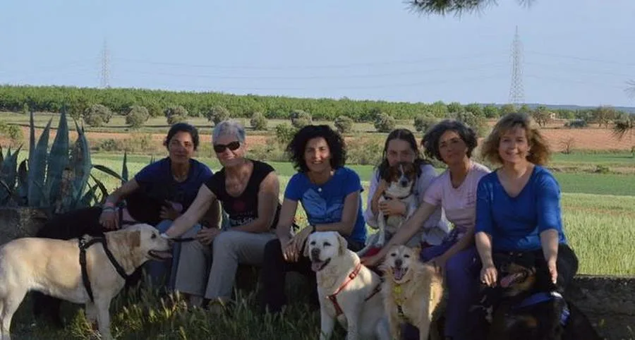Perrunas en calma