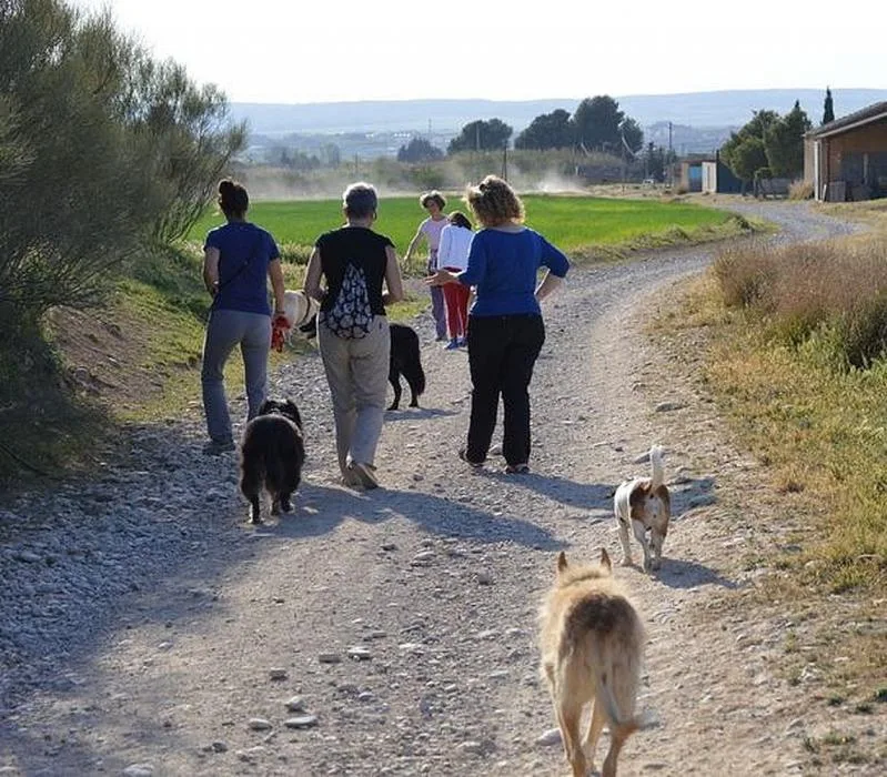 Perrunas en calma
