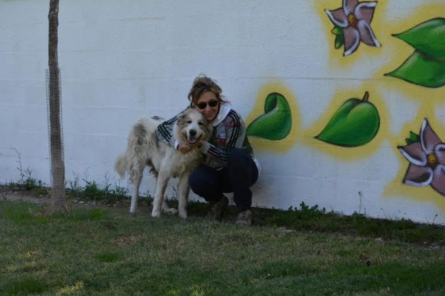Perros con Alma