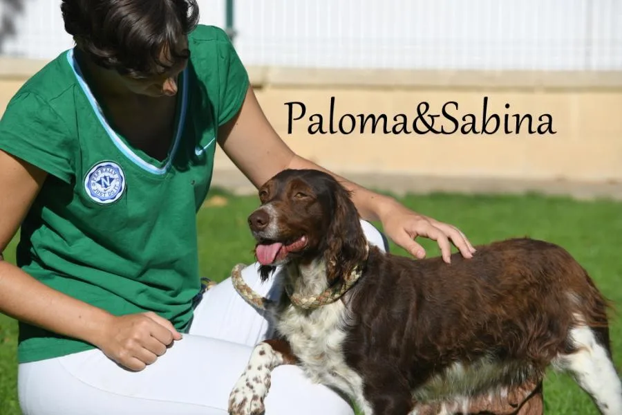 Perros con Alma
