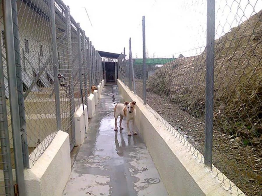 Hogar de Asis