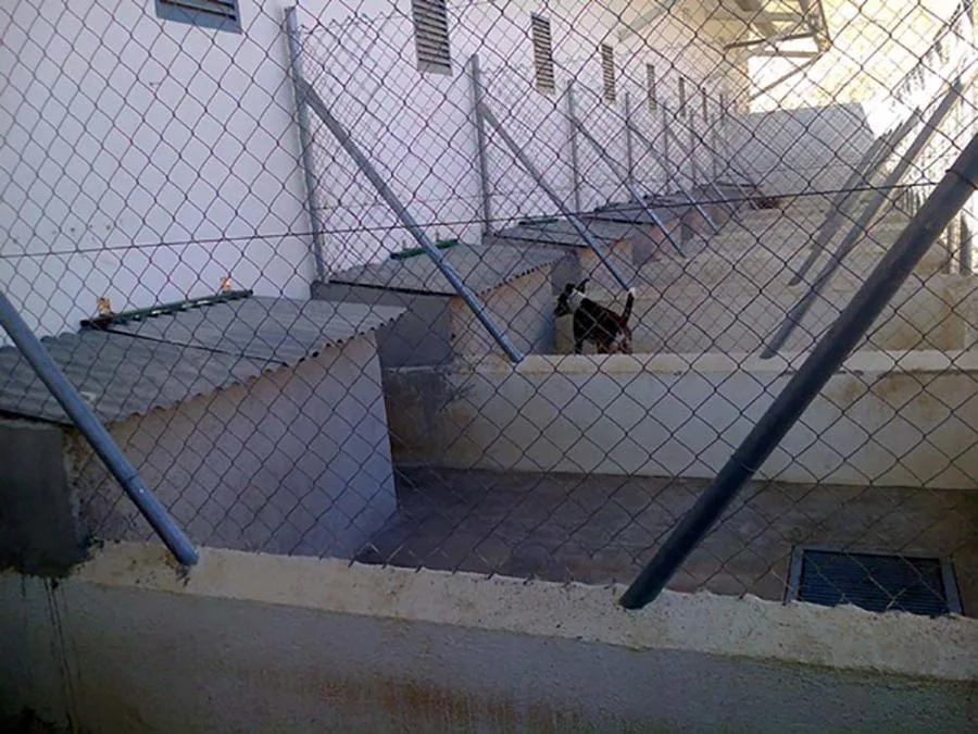 Hogar de Asis
